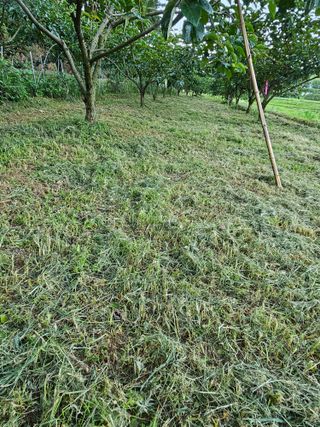 경희아짐님의 자유주제 · 자유게시판 작성글 사진