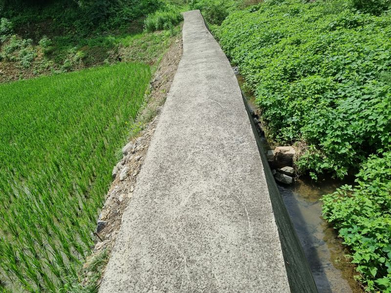 박상동님의 장터 판매 상품 [4련쟁기] 첨부 사진