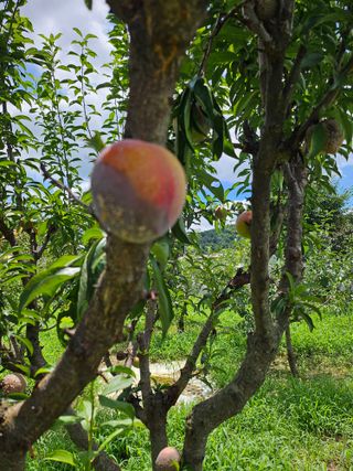 홍소장님의 요즘 무엇에 관심있나요? · 참여글 작성글 사진