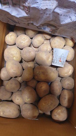 동읍초보임화영님의 자유주제 · 자유게시판 작성글 사진