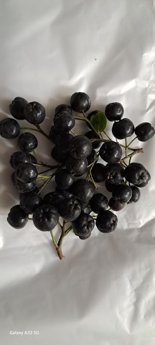 소녀시대(중구)님의 자유주제 · 사진전 작성글 사진