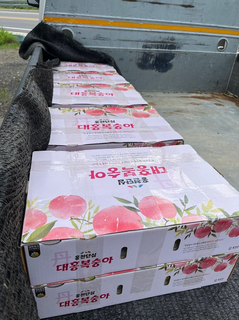 이주농원님의 장터 판매 상품 [대홍복숭아 4kg] 첨부 사진