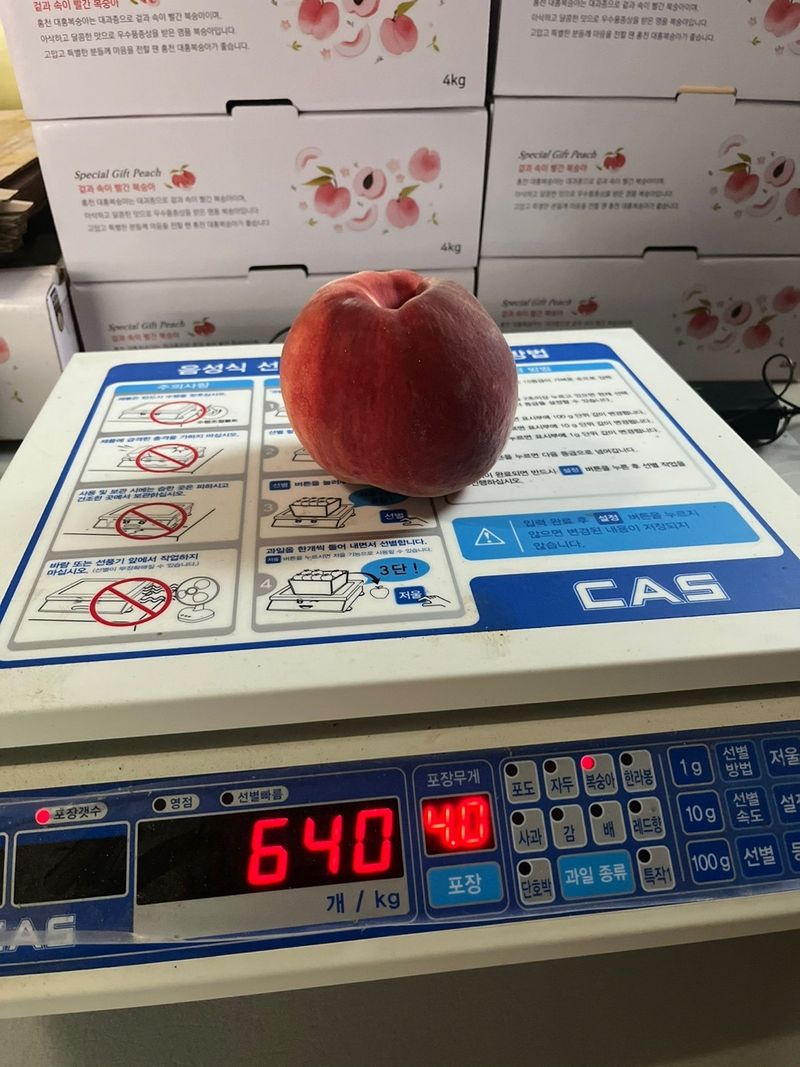 이주농원님의 장터 판매 상품 [대홍복숭아 4kg] 첨부 사진
