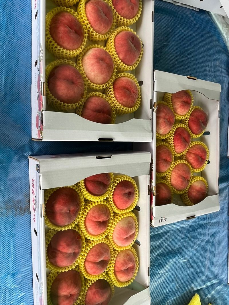 이주농원님의 장터 판매 상품 [대홍복숭아 4kg] 첨부 사진