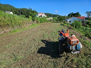 정동출님의 마늘 · 영농일지 작성글 사진