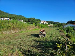 정동출님의 마늘 · 영농일지 작성글 사진