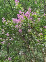 팜모닝 자유주제·사진전 게시글 이미지