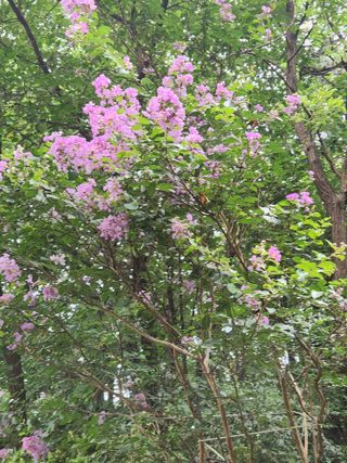 한상경님의 자유주제 · 사진전 작성글 사진