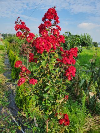 한상경님의 자유주제 · 사진전 작성글 사진