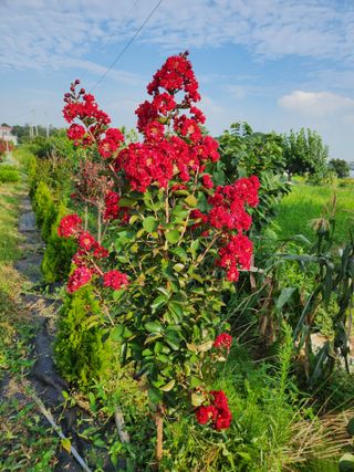 한상경님의 자유주제 · 사진전 작성글 사진