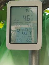 팜모닝 포도·영농일지 게시글 이미지