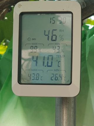 牛步俞昌煥님의 포도 · 영농일지 작성글 사진