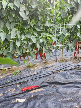 미순님의 자유주제 · 자유게시판 작성글 사진