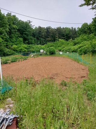 양배추15020님의 배추 · 영농일지 작성글 사진