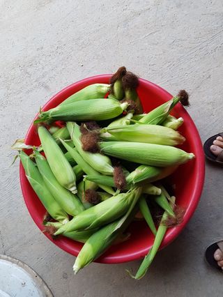 인제 돈키호테님의 작성글 사진