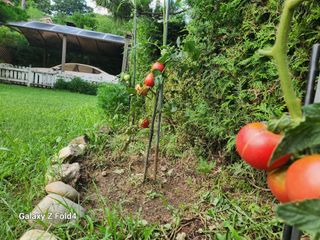 이훈정(시몬)님의 기타작물 · 영농일지 작성글 사진