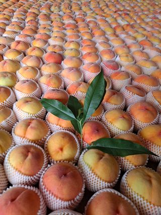 딱딱이~~님의 자유주제 · 자유게시판 작성글 사진