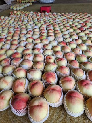 딱딱이~~님의 자유주제 · 자유게시판 작성글 사진