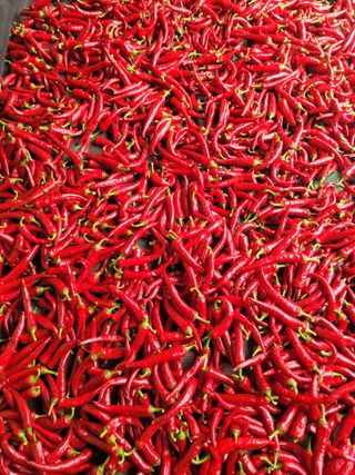 커피나무님의 요즘 무엇에 관심있나요? · 참여글 작성글 사진