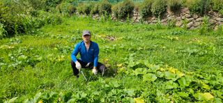 호박21690님의 호박 · 영농일지 작성글 사진