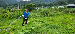 호박21690님의 호박 · 영농일지 작성글 사진