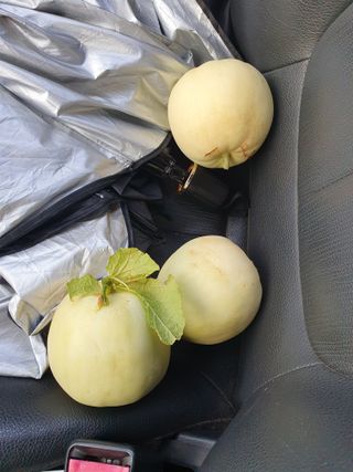 마바리63님의 기타작물 · 영농일지 작성글 사진