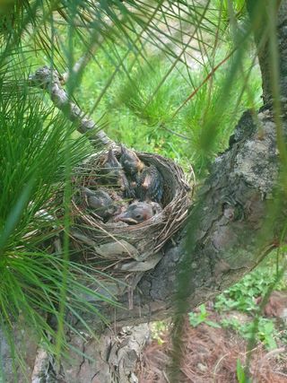 작은소나무님의 자유주제 · 사진전 작성글 사진