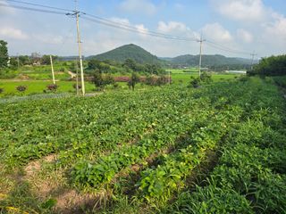 박정원님의 콩 · 영농일지 작성글 사진