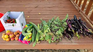 종합선물세트님의 자유주제 · 자유게시판 작성글 사진