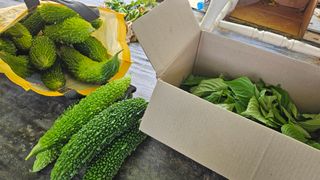 종합선물세트님의 자유주제 · 자유게시판 작성글 사진