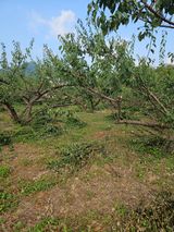 팜모닝 자유주제·자유게시판 게시글 이미지