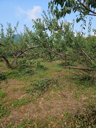 윤권진님의 자유주제 · 자유게시판 작성글 사진
