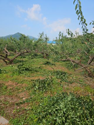 윤권진님의 자유주제 · 자유게시판 작성글 사진