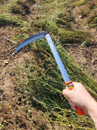 안산제일농약사님의 작성글 사진