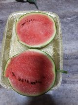 팜모닝 호박·영농일지 게시글 이미지