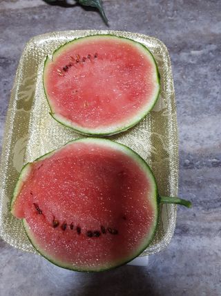 코알라님의 호박 · 영농일지 작성글 사진