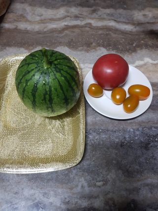 코알라님의 호박 · 영농일지 작성글 사진