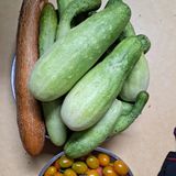 팜모닝 오이·영농일지 게시글 이미지