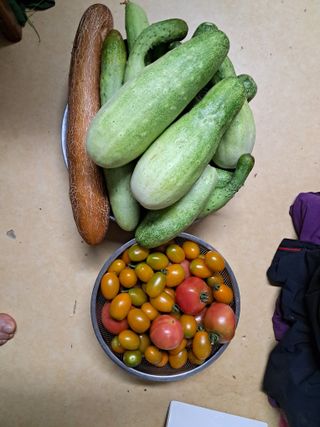 장은주님의 오이 · 영농일지 작성글 사진