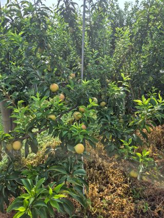 유명호님의 자유주제 · 자유게시판 작성글 사진