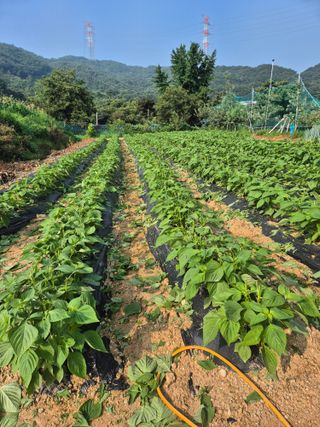 유명호님의 자유주제 · 자유게시판 작성글 사진