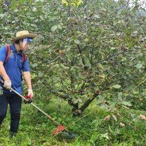 이명기님의 기타작물 · 영농일지 작성글 사진