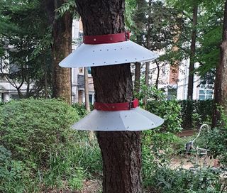 이명기님의 기타작물 · 영농일지 작성글 사진