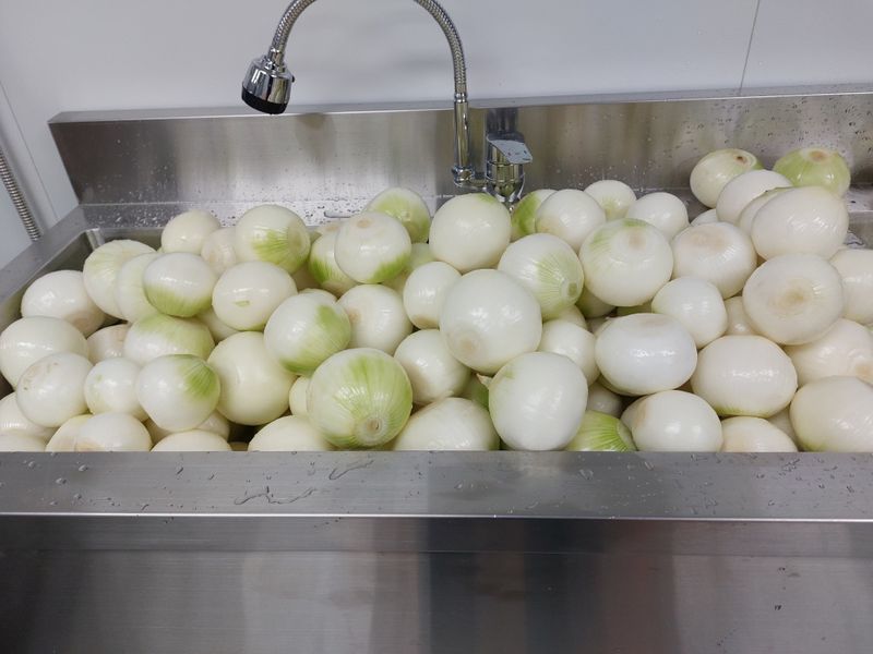 너먼들농부네님의 장터 판매 상품 [깐양파 3kg진공포장  ] 첨부 사진