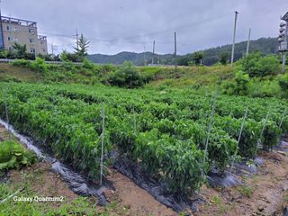 콩20196님의 자유주제 · 자유게시판 작성글 사진