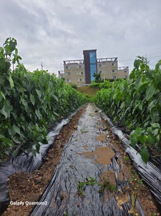 콩20196님의 자유주제 · 자유게시판 작성글 사진