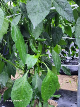 콩20196님의 자유주제 · 자유게시판 작성글 사진