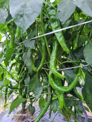 콩20196님의 자유주제 · 자유게시판 작성글 사진