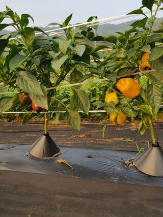 김건호님의 자유주제 · 자유게시판 작성글 사진