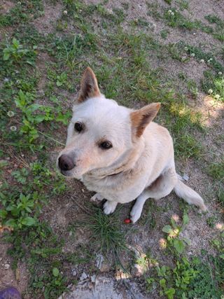 힘들어도건강한먹거리님의 자유주제 · 자유게시판 작성글 사진